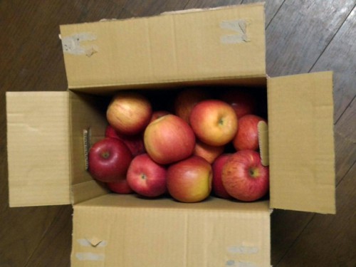 りんご１箱いただきました。