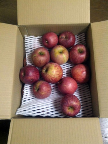 兵庫県E・F様よりリンゴをいただきました！